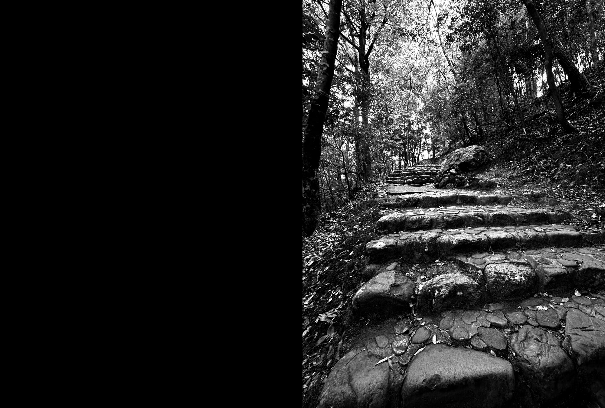 Black-and-white stone steps climbing through forest, the path rising into the trees.